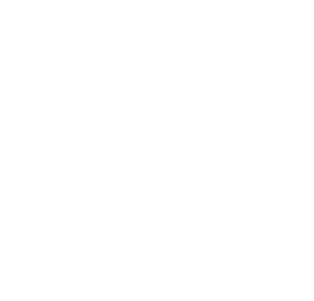 ZN Logo
